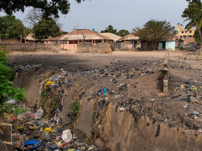 Developing countries